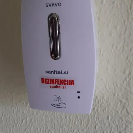Bor